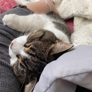 Meet your Posher, Taryn